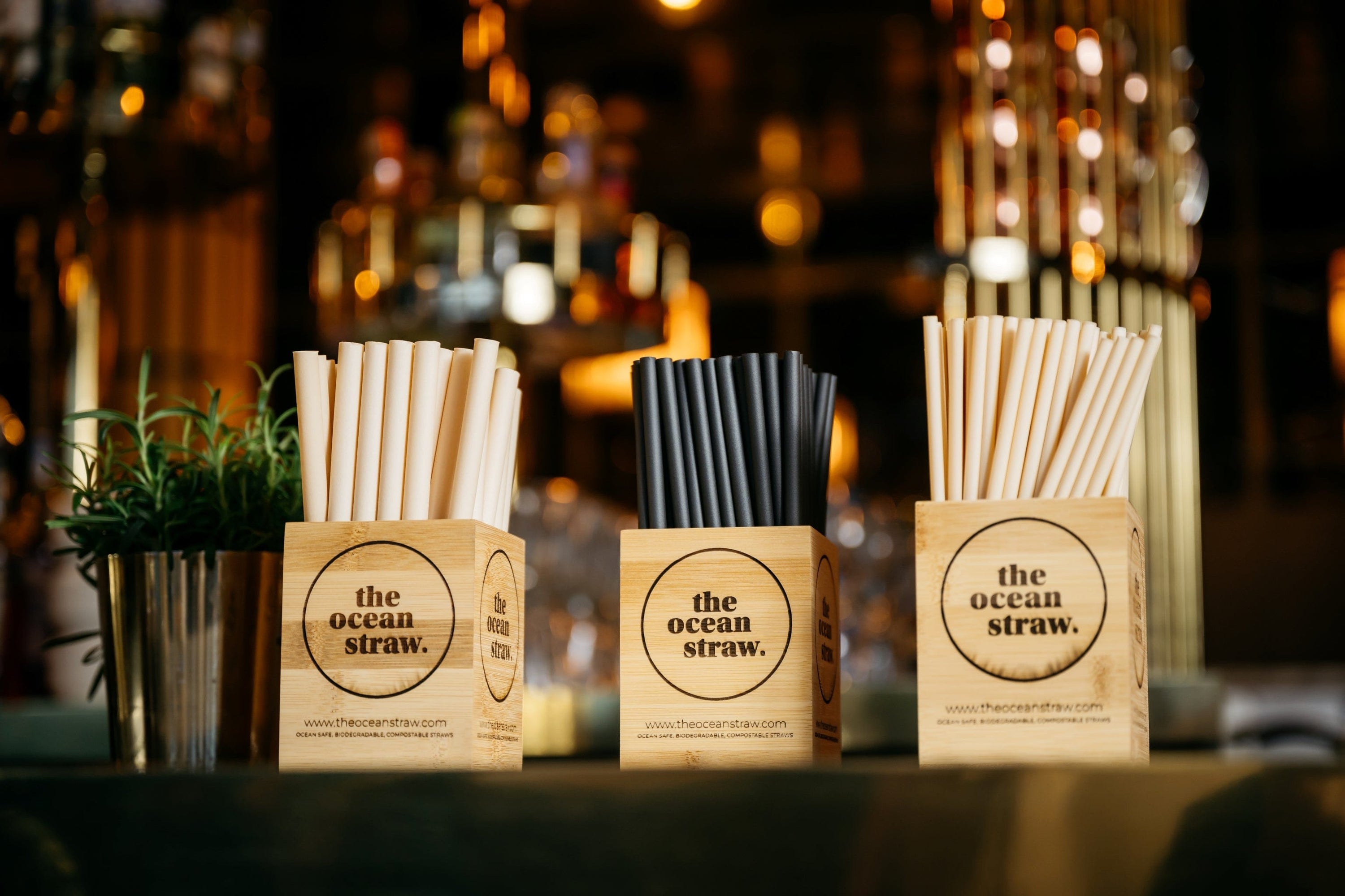 The Ocean Straw Test sample Sample request